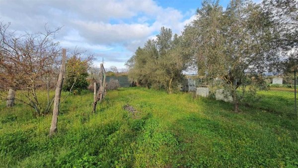 terreno agricolo in vendita a Follonica