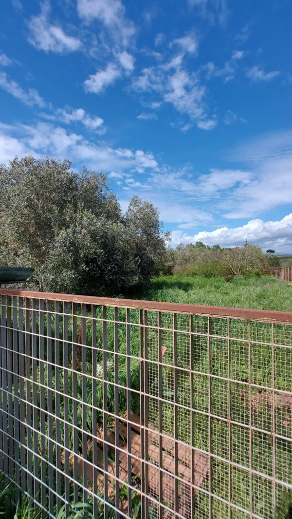 terreno agricolo in vendita a Follonica