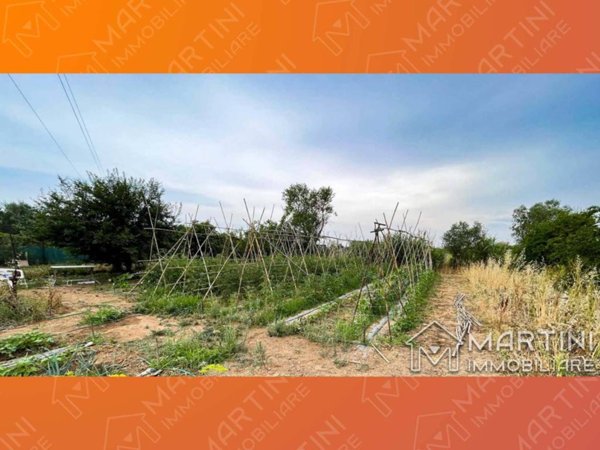terreno agricolo in vendita a Follonica