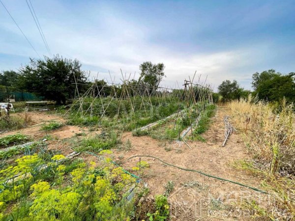 terreno agricolo in vendita a Follonica