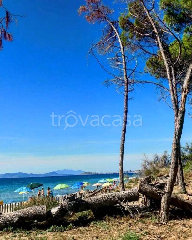 appartamento in vendita a Follonica