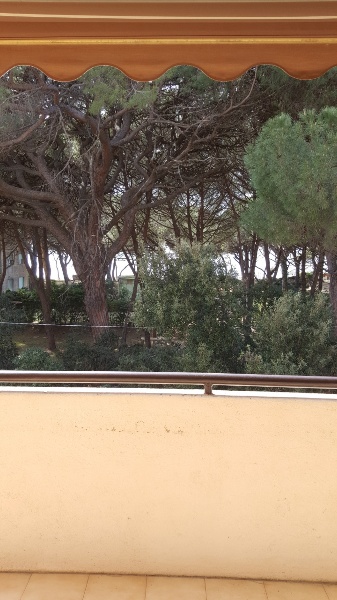 appartamento in vendita a Follonica