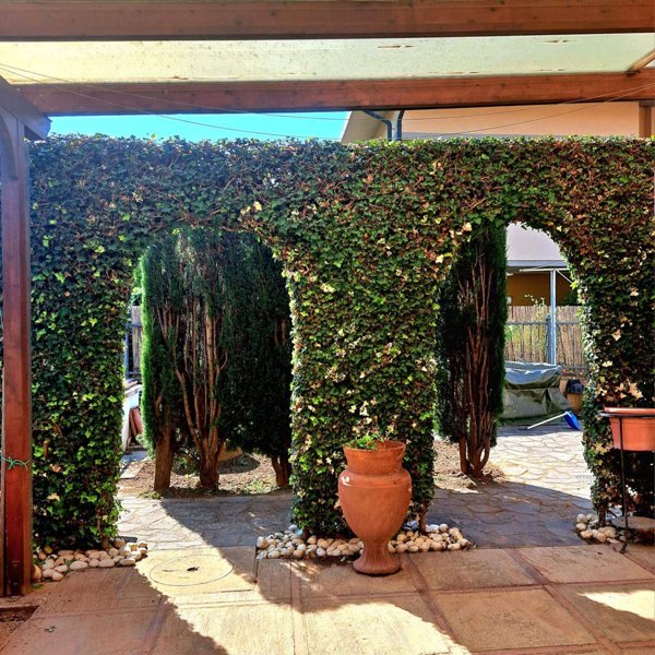 casa indipendente in vendita a Follonica