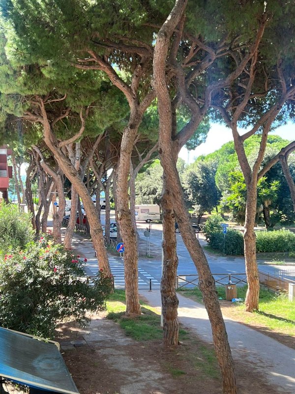 appartamento in vendita a Follonica