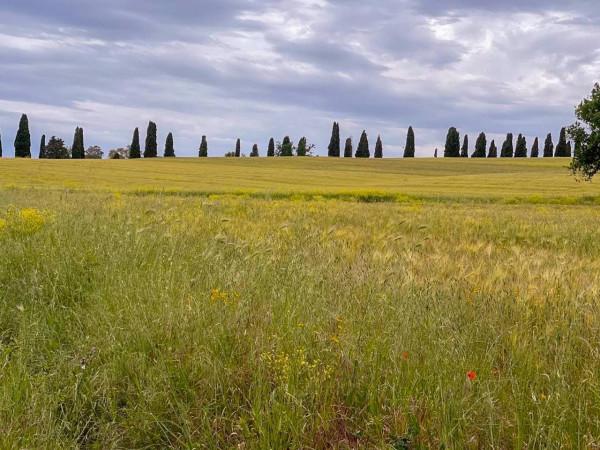 casale in vendita a Follonica