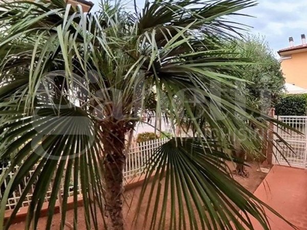 appartamento in vendita a Follonica