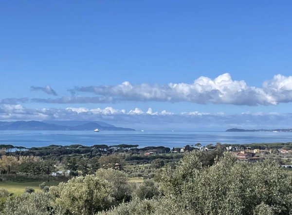 terreno agricolo in vendita a Follonica
