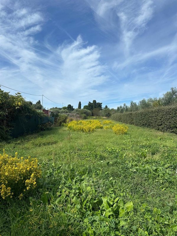 terreno agricolo in vendita a Follonica