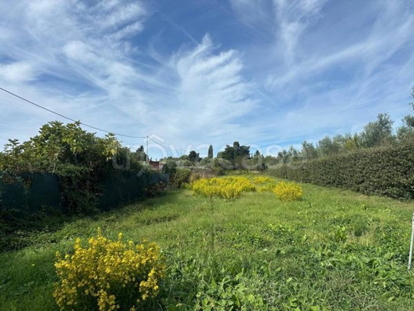terreno agricolo in vendita a Follonica