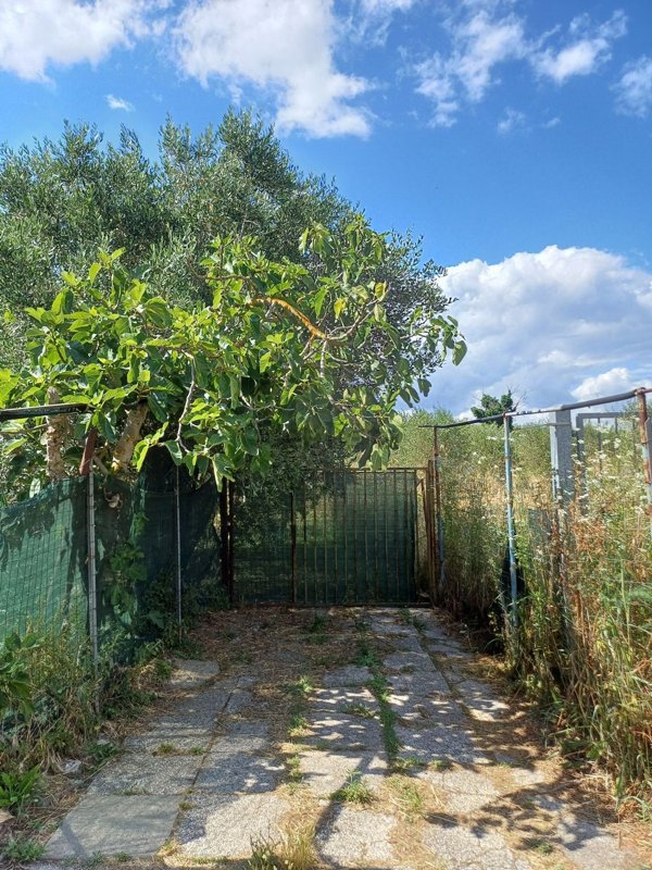 terreno agricolo in vendita a Follonica