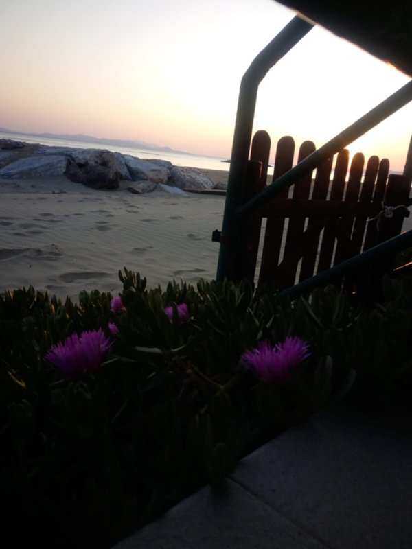 casa indipendente in vendita a Follonica