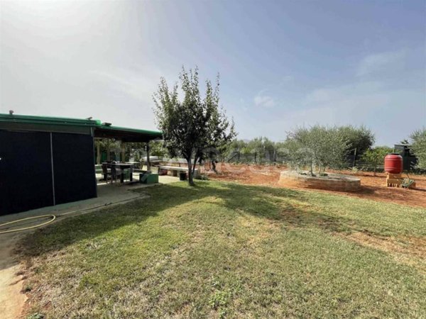 terreno agricolo in vendita a Follonica