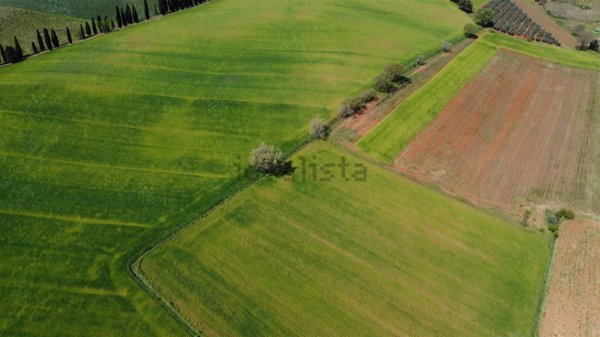 appartamento in vendita a Follonica