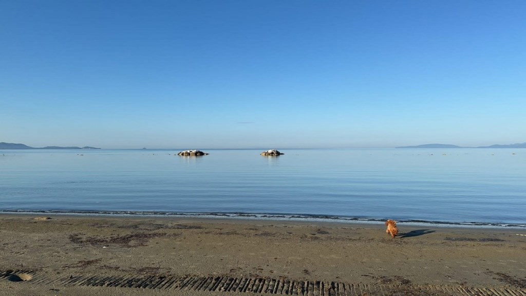 appartamento in vendita a Follonica