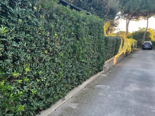 appartamento in vendita a Follonica