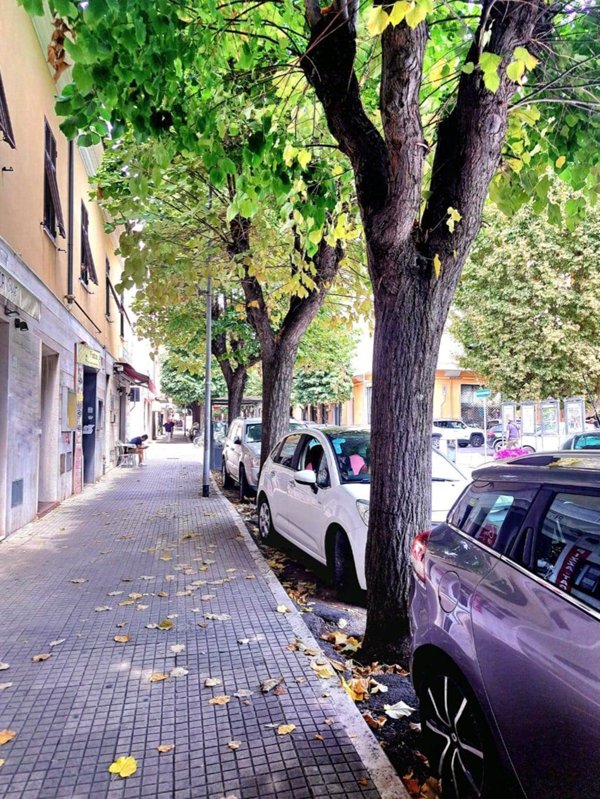 negozio in vendita a Follonica