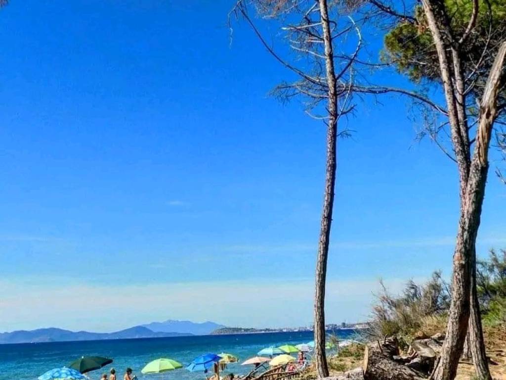 appartamento in vendita a Follonica