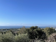 casa indipendente in vendita a Follonica