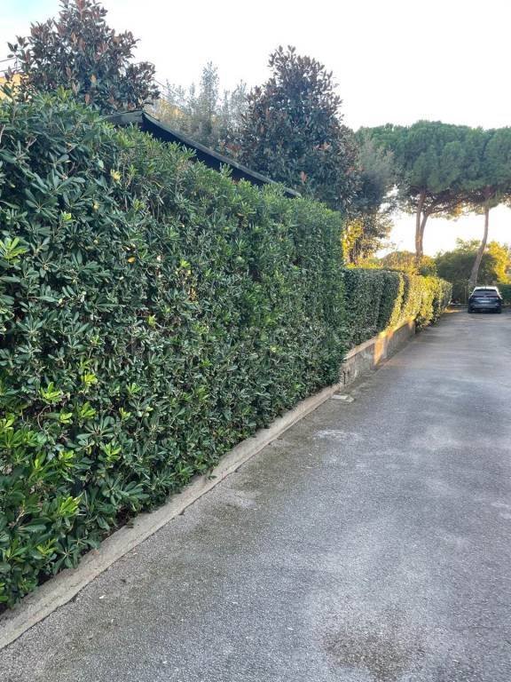 appartamento in vendita a Follonica