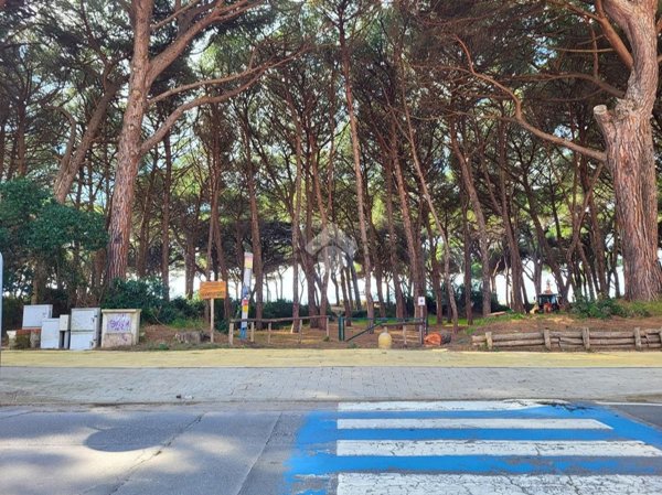 casa semindipendente in vendita a Follonica