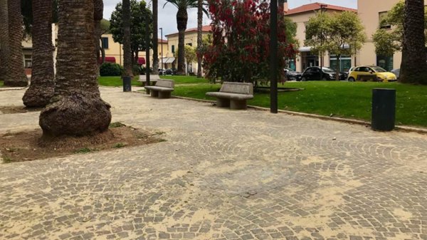 appartamento in vendita a Follonica