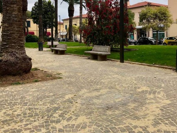 appartamento in vendita a Follonica
