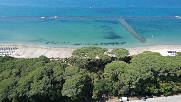 terreno agricolo in vendita a Follonica