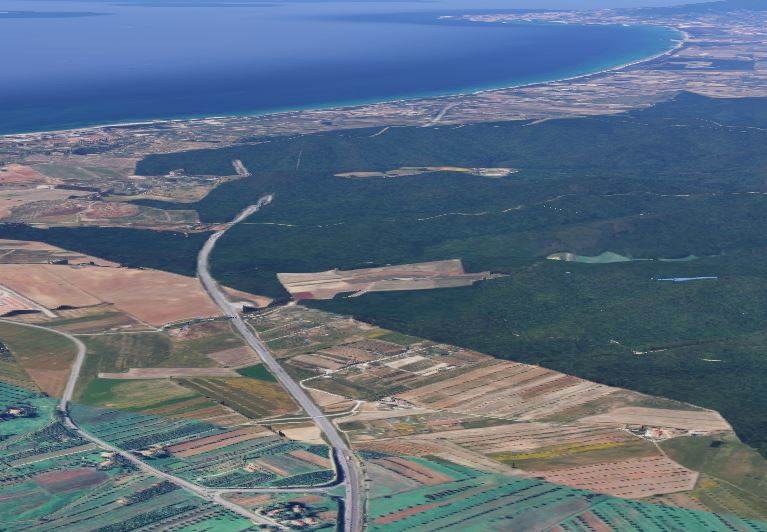 terreno agricolo in vendita a Follonica
