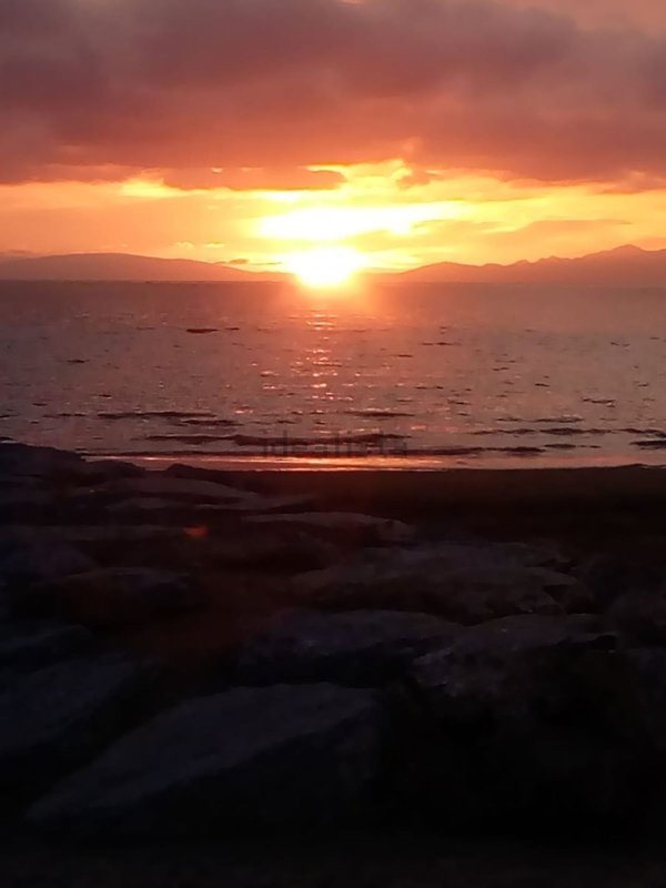 esavano in vendita a Follonica