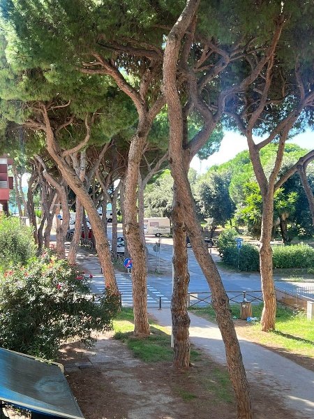 appartamento in vendita a Follonica