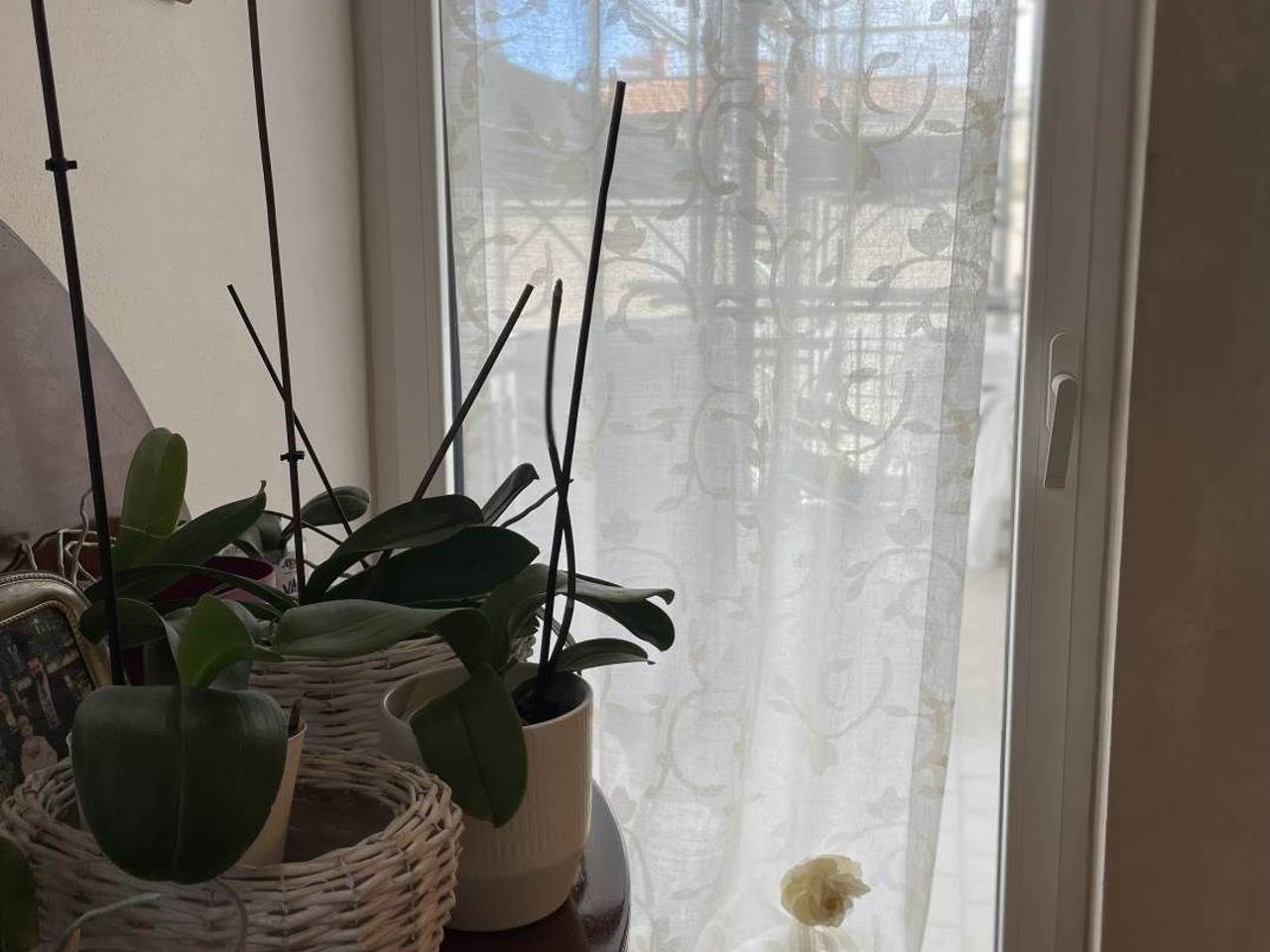 appartamento in vendita a Follonica