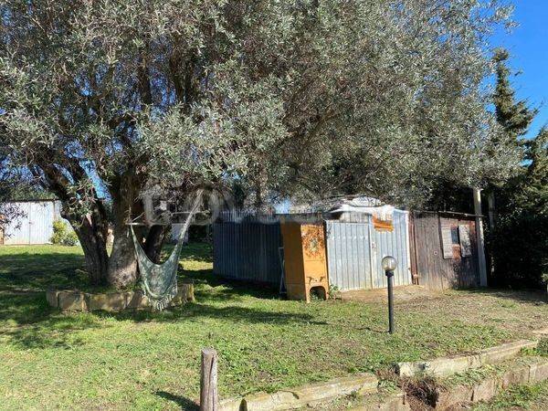 terreno agricolo in vendita a Follonica