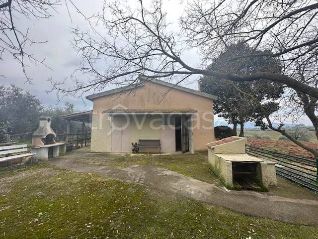 trivano in vendita a Follonica