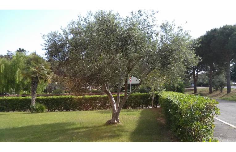 appartamento in vendita a Follonica