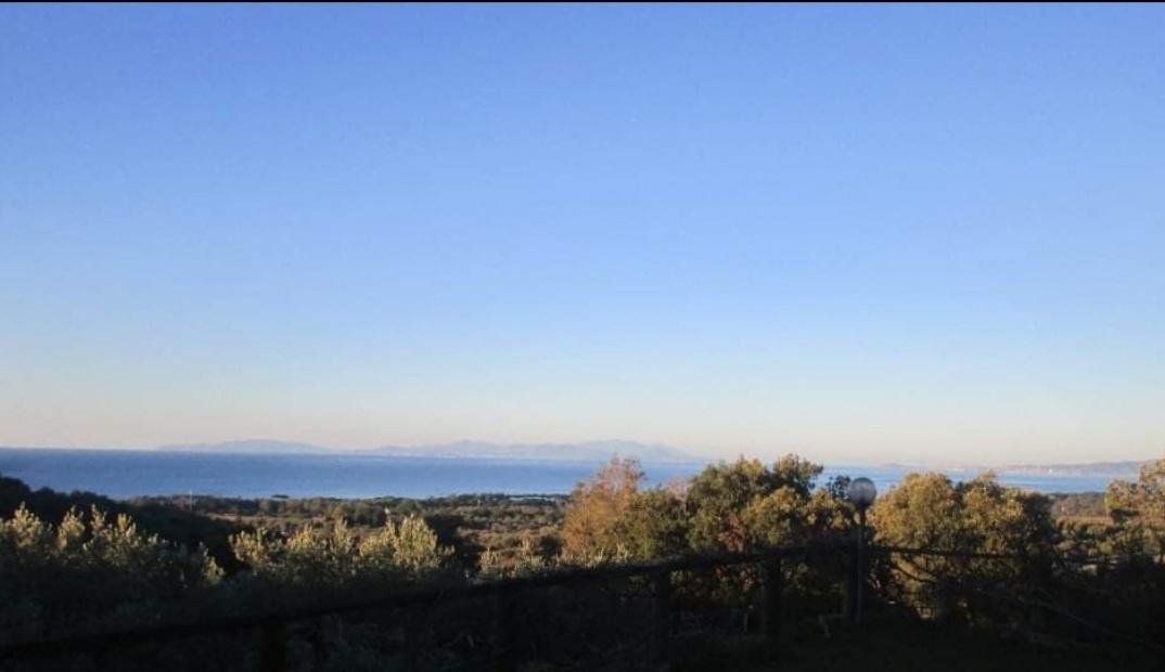 pentavano in vendita a Follonica