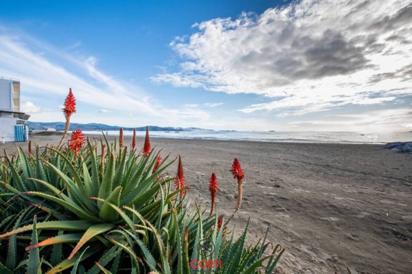 appartamento in vendita a Follonica