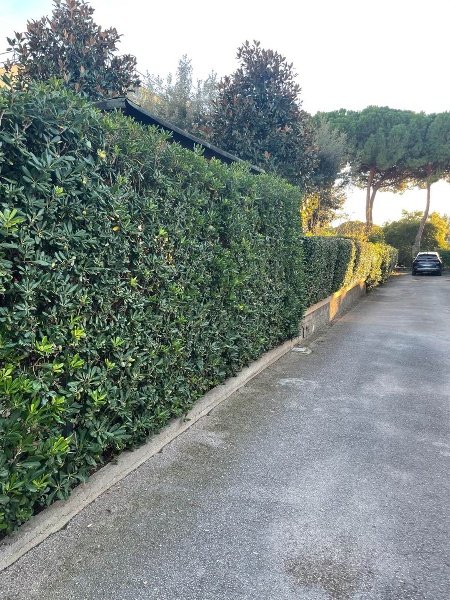 appartamento in vendita a Follonica