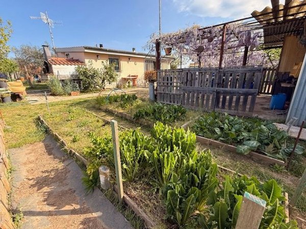 terreno agricolo in vendita a Follonica
