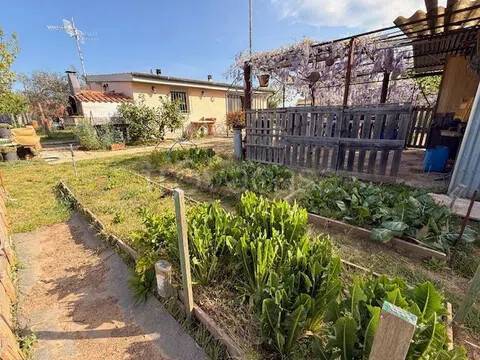 terreno agricolo in vendita a Follonica