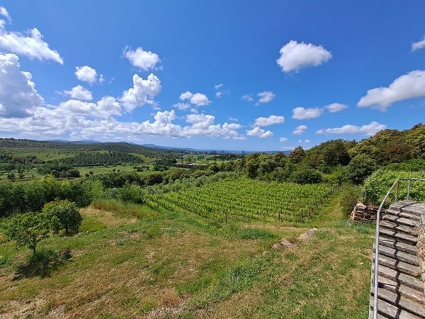 casa indipendente in vendita a Follonica