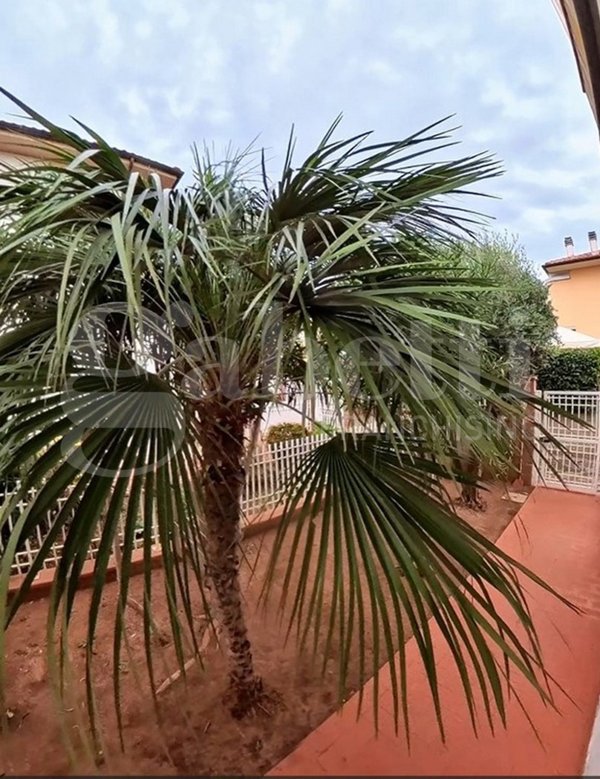 appartamento in vendita a Follonica in zona Area Industriale