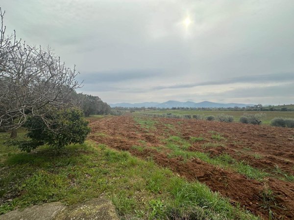 trivano in vendita a Follonica