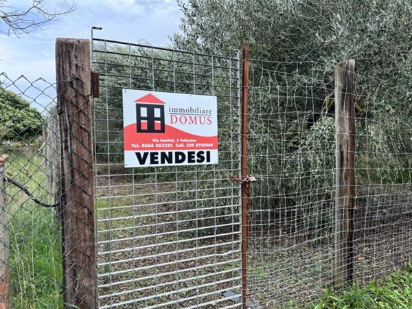 terreno agricolo in vendita a Follonica