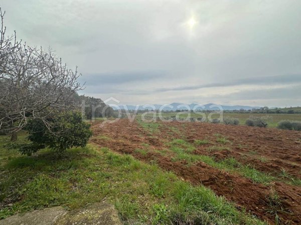 immagine annuncio 0 di 9