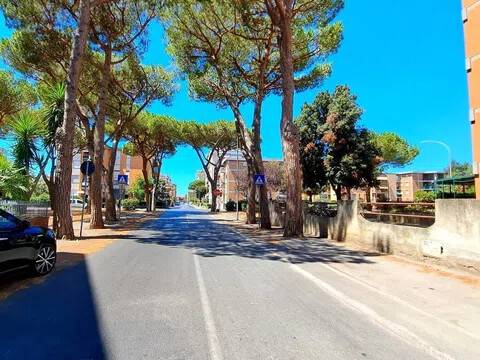 negozio in vendita a Follonica