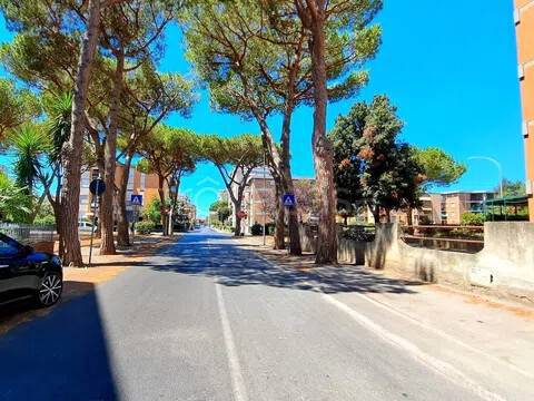 negozio in vendita a Follonica