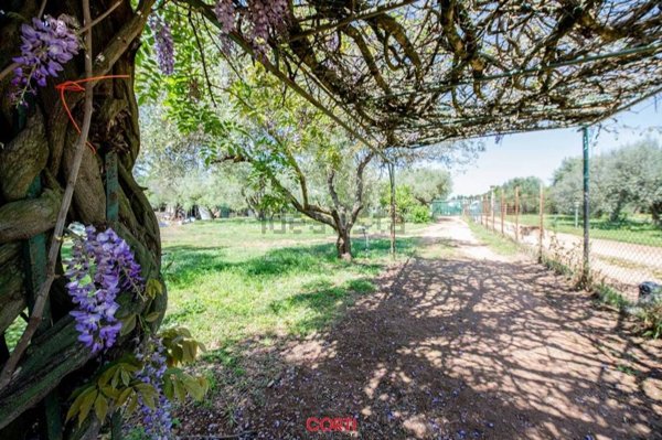 locale di sgombero in vendita a Follonica