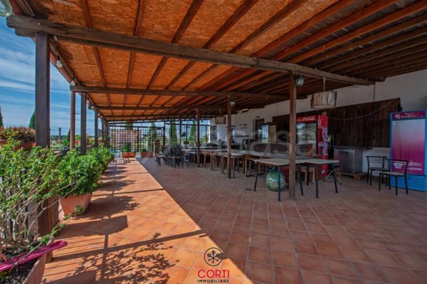 negozio in vendita a Follonica