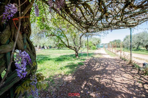 terreno agricolo in vendita a Follonica
