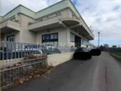 appartamento in vendita a Follonica